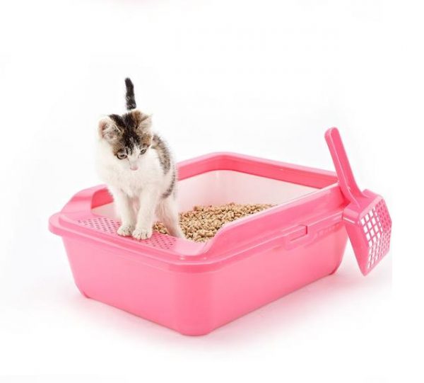 litter box 2