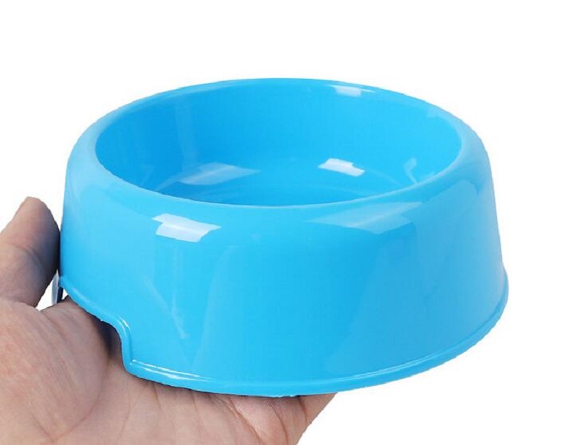 dog feeding bowl