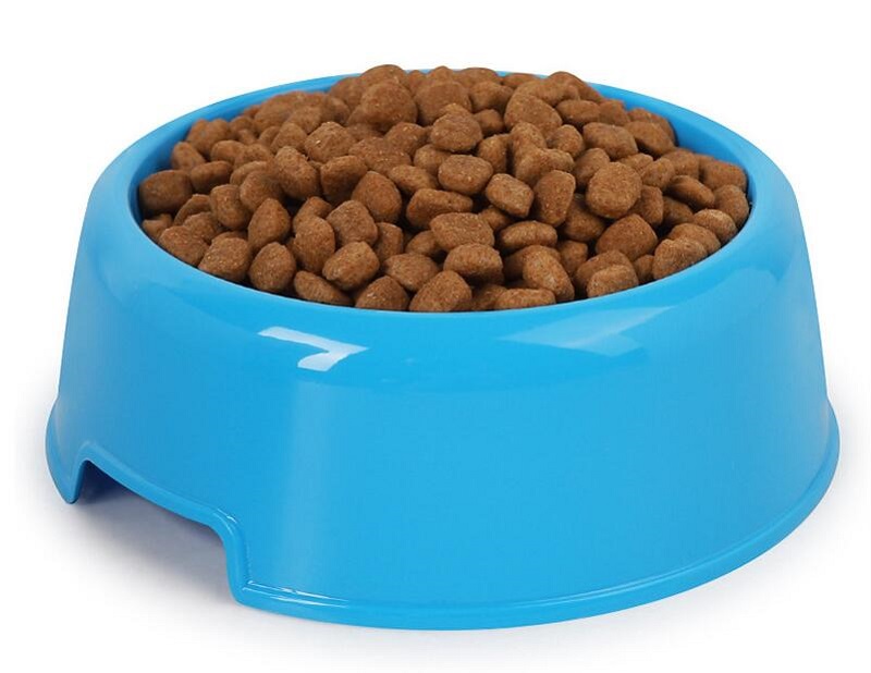 dog feeding bowl